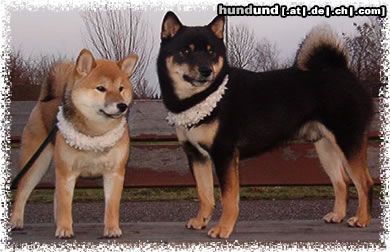 Shiba KuroakaYuukihime und We-sedso Masamune Keiji