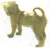 Irischer Soft Coated Wheaten Terrier Hund