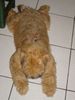 Irischer Soft Coated Wheaten Terrier Hund