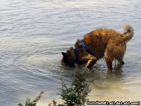 Tervueren Baden ist schön