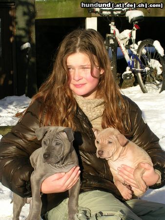 Thai Ridgeback Wowwadee Assanee and Assawin, Melina