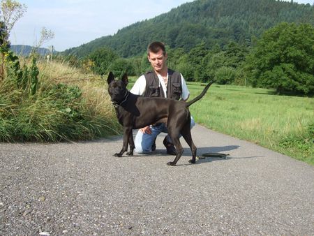 Thai Ridgeback Taptim Siam Mon/Pai Rin Thai