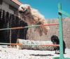 Tibet-Terrier Hund