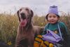 Weimaraner Hund