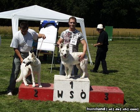 Weißer Schweizer Schäferhund Blanca, 1. Platz Babyklasse Alpentrophy