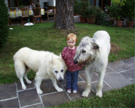 Weißer Schweizer Schäferhund Das war mein lieber Grisha ! Ich möchte zu dem IW wieder einen 