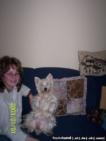 West Highland White Terrier Bonny auf dem Sofa