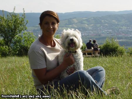 West Highland White Terrier Ausflug mit Cindy