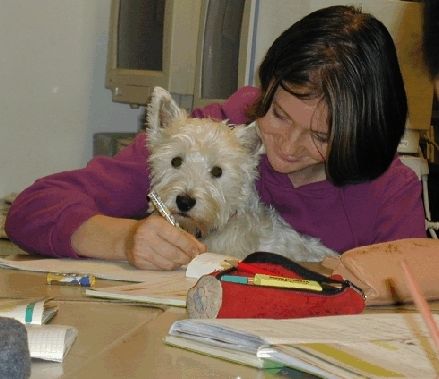 West Highland White Terrier