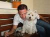 West Highland White Terrier Hund