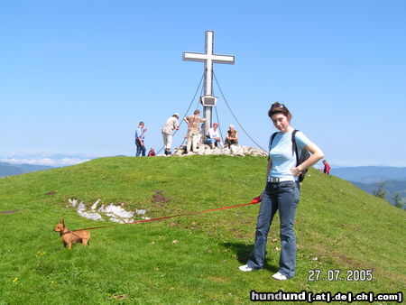 Zwergpinscher Rocky am Gipfel